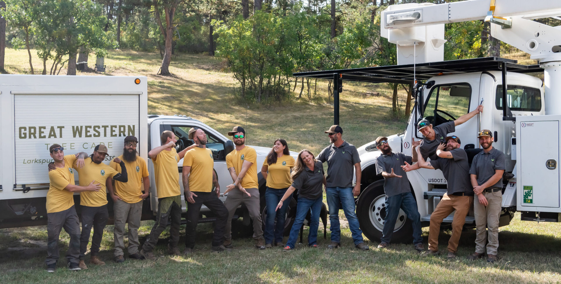 The Great Western Tree Care team with their branded trucks and bucket truck in Larkspur, Colorado