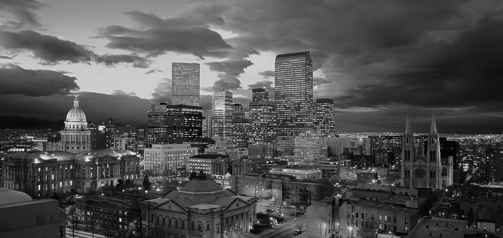 The Denver skyline framed by the mature canopy of the urban forest.