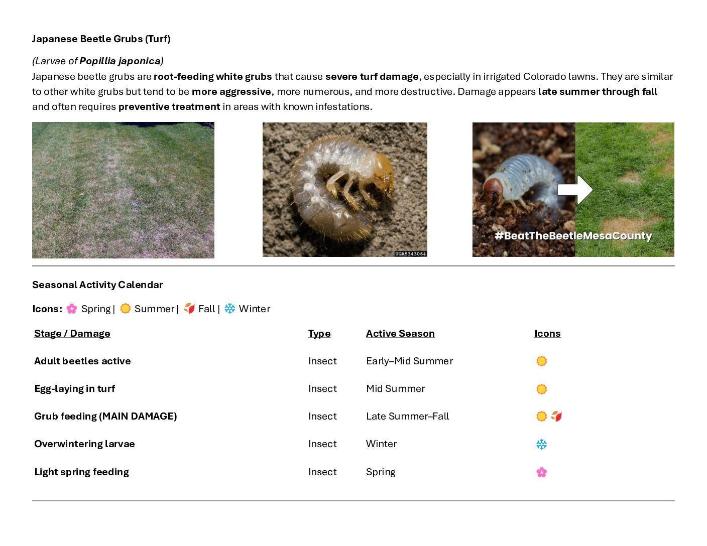 Japanese beetle grubs found in Colorado turf and soil.