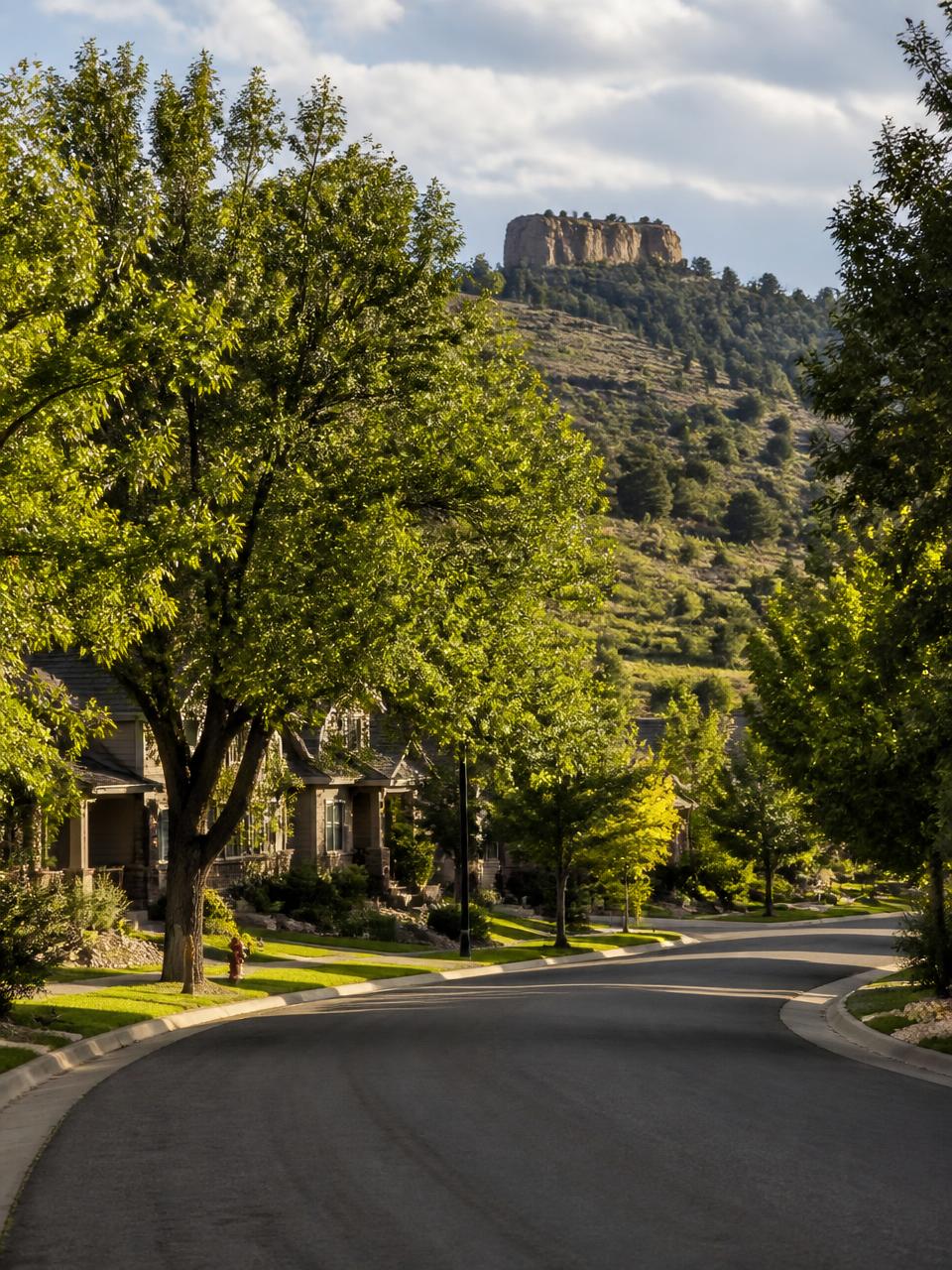 Mature shade trees lining a residential street below Castle Rock, Colorado