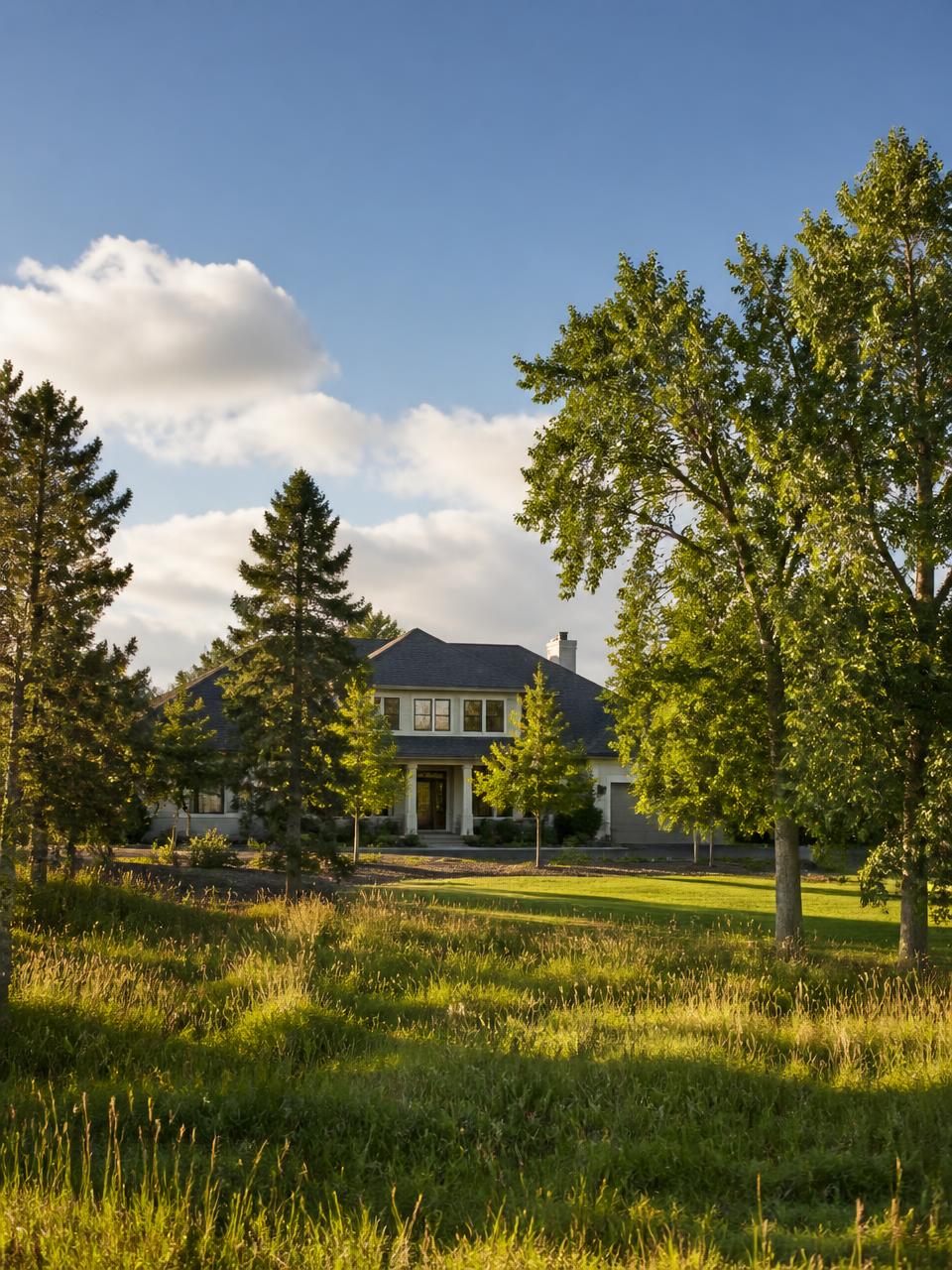 Mature deciduous trees and pines on a large residential lot in Parker, Colorado