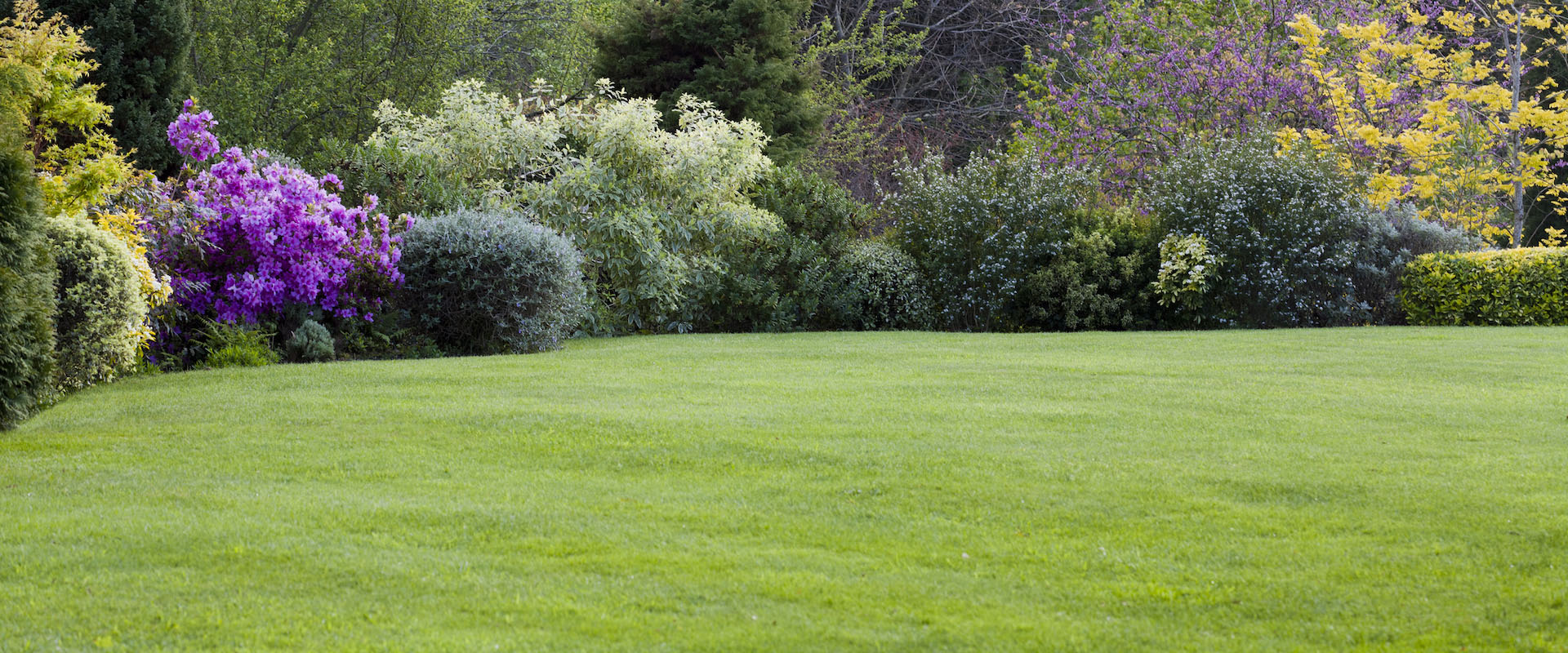 Healthy green lawn on a Colorado residential property maintained by Great Western Tree Care