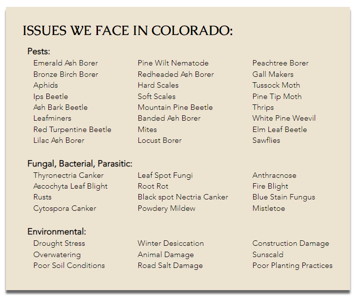 GWTC - Issues we face in CO