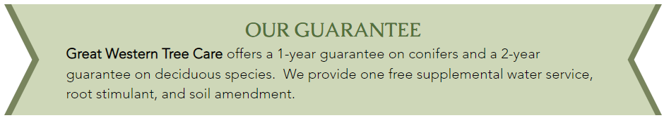GWTC-Our Guarantee