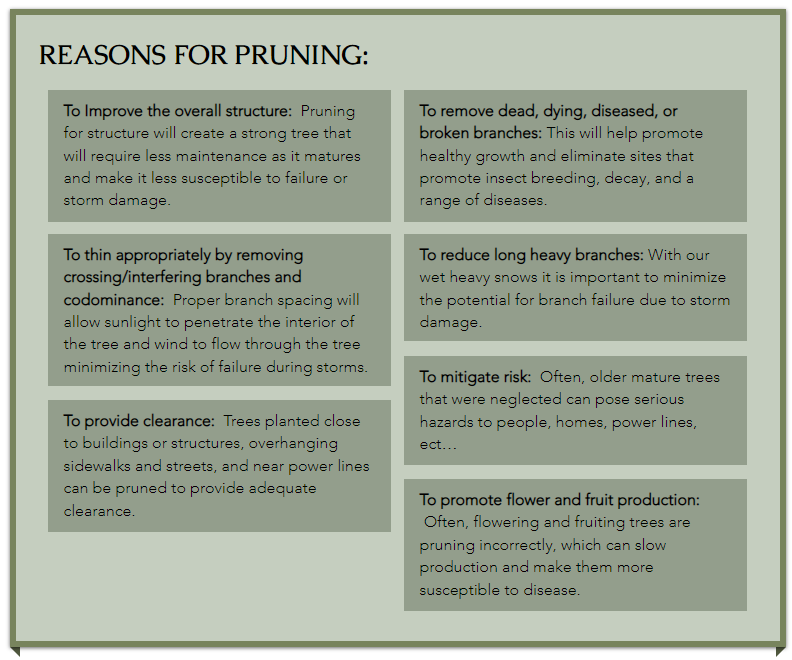 GWTC-Reasons for pruning