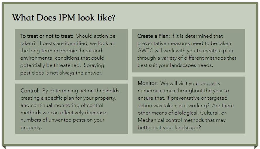 GWTC-What does IPM look like