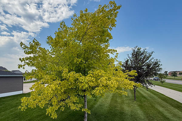 Growing Together_2506101