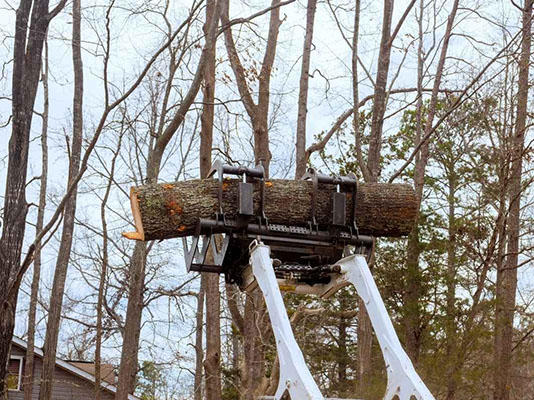 emergency tree removal denver