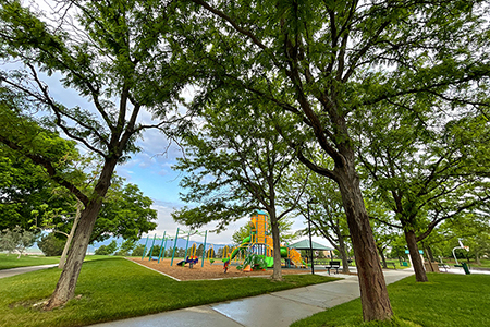 highlands ranch tree pruning