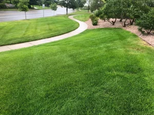 lawn care denver