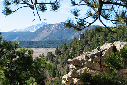 tree trimming larkspur co