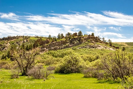 tree trimming roxborough park
