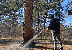 GWTC_Watering-scaled