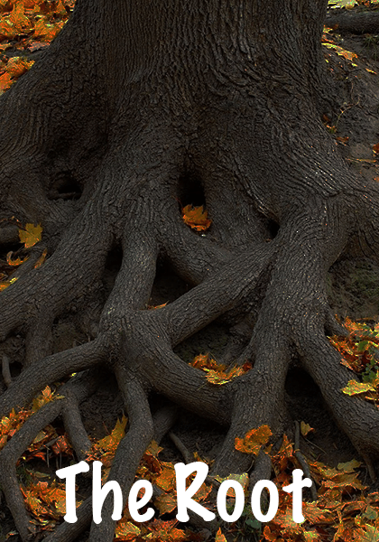 the root